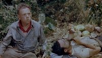 American Guerrilla in the Philippines