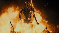 Terminator
