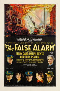 Poster de The False Alarm