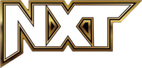 Логотип сериала «WWE NXT (2010)» — (2 из 58)
