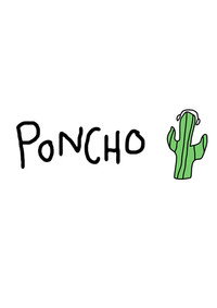 Poncho