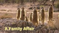 A Family Affair