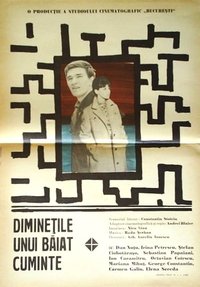 Diminețile unui băiat cuminte (1967)