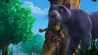 Missing Monkey