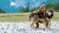 «Белый клык 2: Легенда о белом волке (1994)» — обои к фильму #3