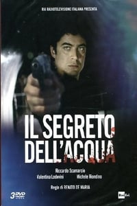 Il segreto dell'acqua (2011)