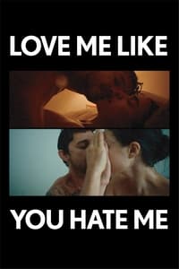 Poster de Love Me Like You Hate Me