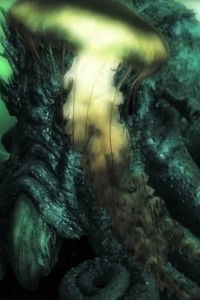 Imagem do Filme The Kraken