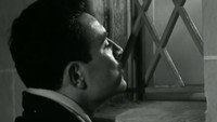 «Усмешка до зубов (1957)» — обои к фильму #1