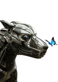 movie-images