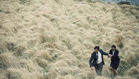 Обои к фильму «Лобстер (2015)» — (38 из 73)