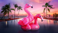 «Bachelor in Paradise (2014)» — обои к сериалу #7