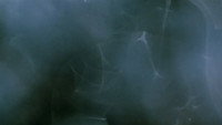«Comingled Containers (1997)» — обои к фильму #1