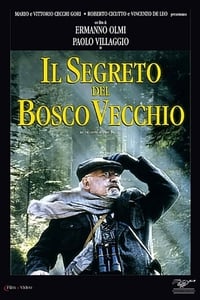 Poster de Il segreto del bosco vecchio