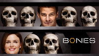 Обои к сериалу «Кости (2005 - 2017)» — (30 из 181)