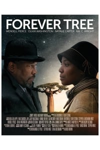Poster de The Forever Tree
