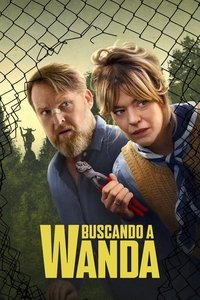 Poster de Buscando a Wanda