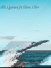 Poster de The Legend Of Ivan Tors