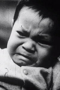 Imagem do Filme Le Témoin ou la timide espérance