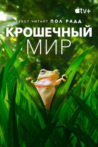 Постер сериала «Крошечный мир (2020)» — (11 из 25)