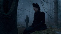 Обои к фильму «Человек-волк (2010)» — (27 из 85)