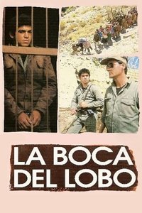 movie-images