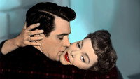«Все, что дозволено небесами (1955)» — обои к фильму #5