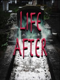 Poster de Life After