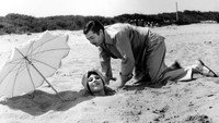 «Развод по-итальянски (1961)» — обои к фильму #2