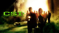 Обои к сериалу «C.S.I. Место преступления (2000-2015)» — (19 из 177)