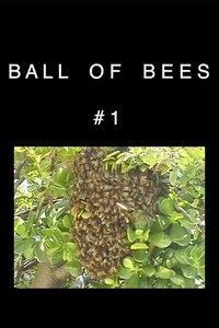 Bees - 2002