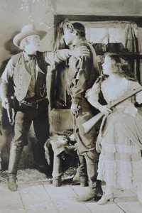 Постер к фильму The Golden Strain (1925)