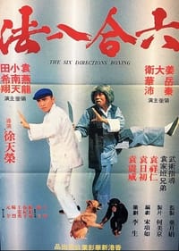 六合八法 (1980)