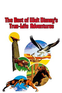 Постер фильма «The Best of Walt Disney's True-Life Adventures (1975)» — (3 из 11)