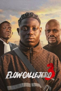 Poster de Flow callejero 3