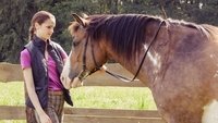Ponyhof statt Internet