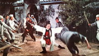 «Леди-закон (1975)» — обои к фильму #1
