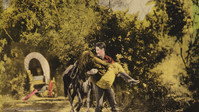«The Scrappin' Kid (1926)» — обои к фильму #1