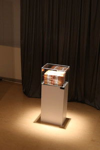 Poster de 尋狼遊戲