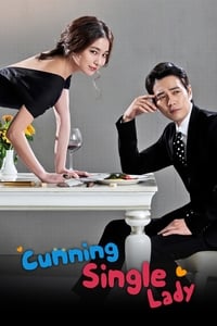 tv show poster Cunning+Single+Lady 2014