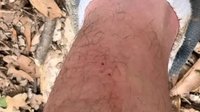 Nathan And His Dad Go Hiking