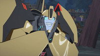 Adventures in Bumblebee-sitting!