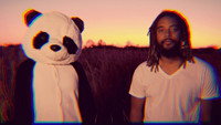 «Panda Bear It (2020)» — обои к фильму #1