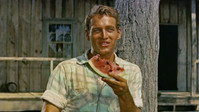«Долгое жаркое лето (1958)» — обои к фильму #9