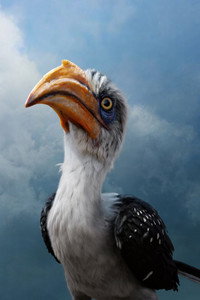 Постер мультфильма «Король Лев (2019)» — (2 из 53)