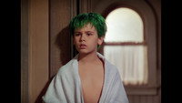 Le Garcon aux cheveux verts