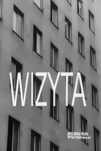 Wizyta