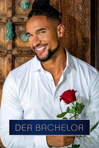 Der Bachelor - Season 13 Episode Guide