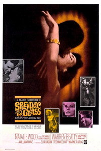 Постер фильма «Великолепие в траве (1961)» — (15 из 32)