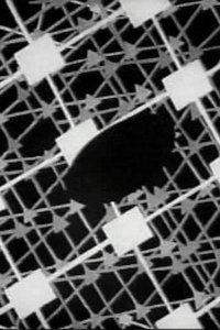 Muntz TV Ad